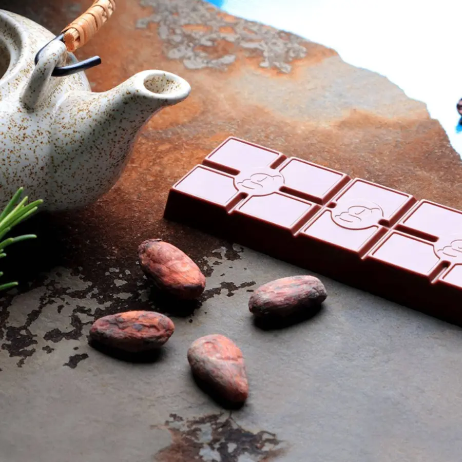Barra 70% cacao 50g