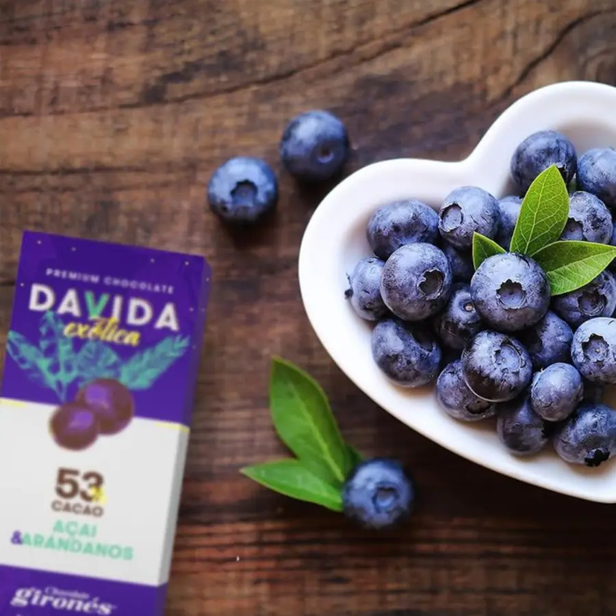 Barra açaí & arándanos 53% cacao 40g