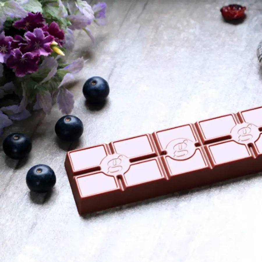 Barra açaí & arándanos 70% cacao 40g