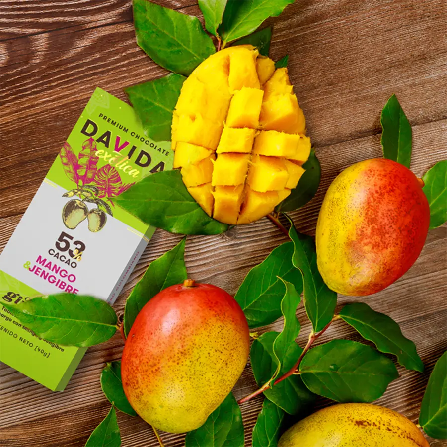 Barra mango & jengibre 53% cacao 40g