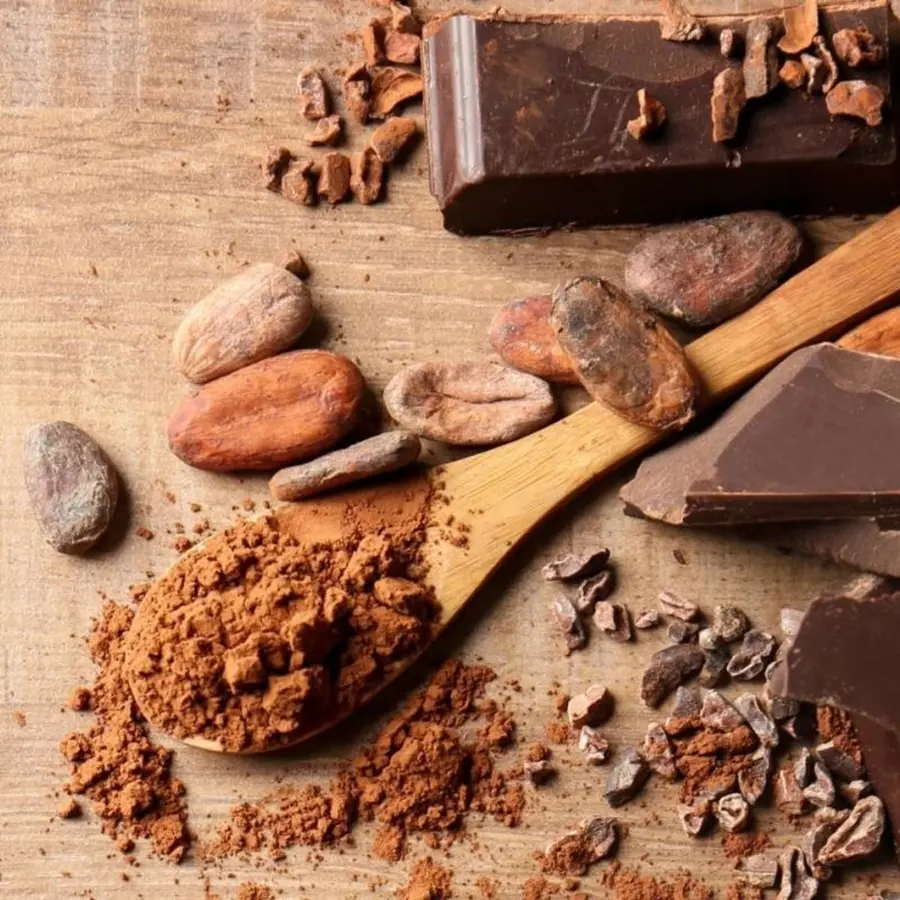 Cocoa natural sin azúcar 1 Kg